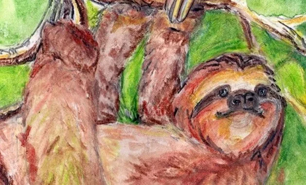 sloth+card+low+rextif.jpg