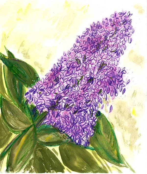 Lilac