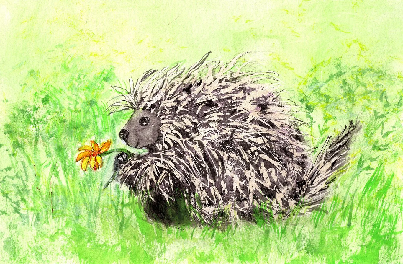 Pocupine full color Lo Res.jpg
