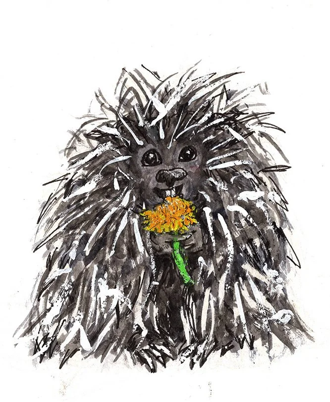 porcupine3 low res.jpg