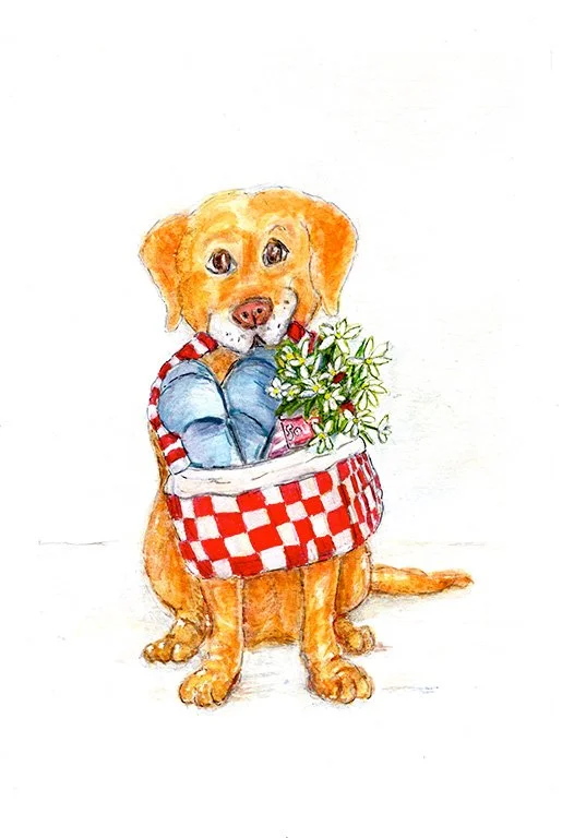 Get Well Dog Card lo res.jpg