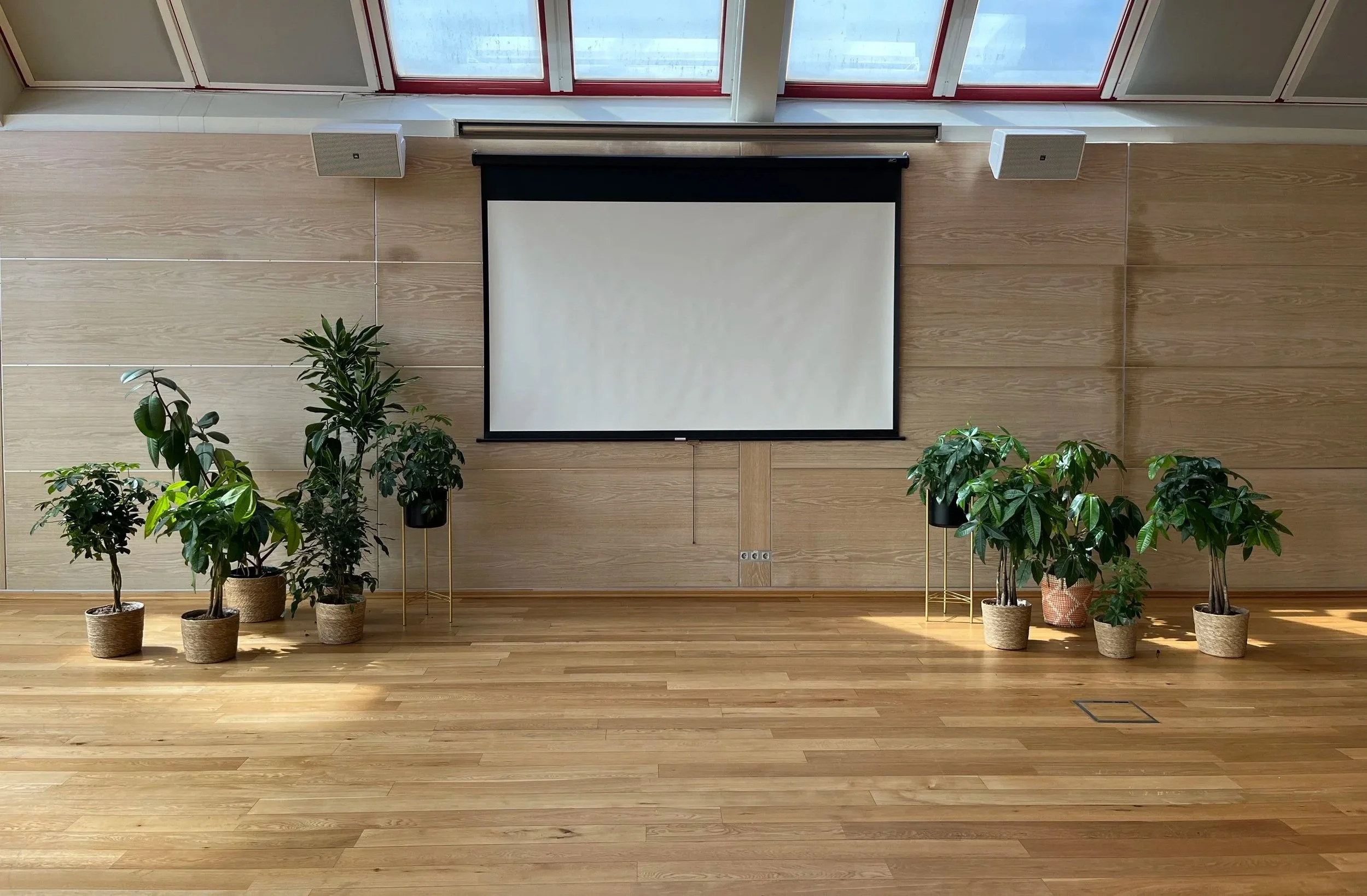 The Glass Garden, a beautiful large event space for rent in central Oslo with a wooden floor and a ceiling with large windows. Includes a projector screen and speakers, along with several potted green plants.