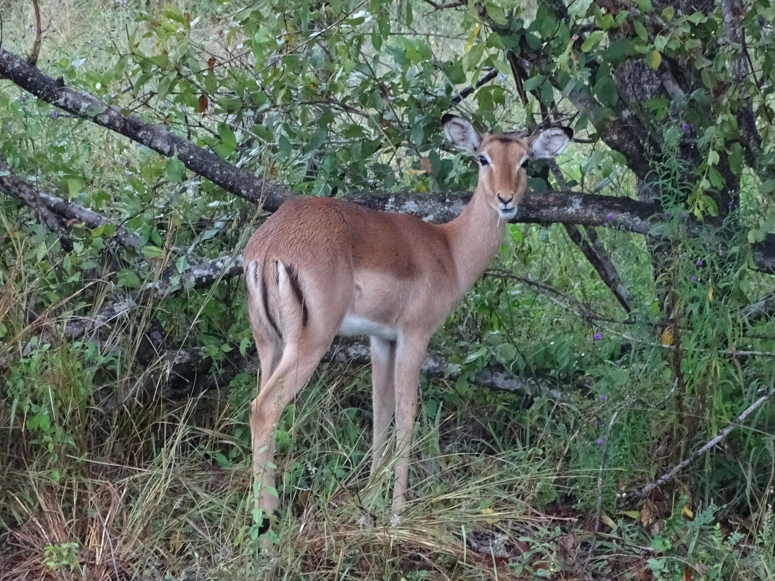 DSC03119.JPG
