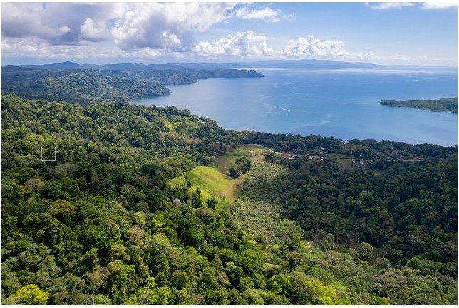 WhatsApp Image 2024-03-04 at 14.18.04 (1).jpeg