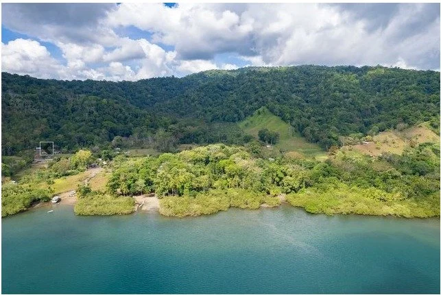 WhatsApp Image 2024-03-04 at 14.18.04 (2).jpeg