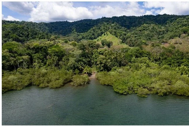 WhatsApp Image 2024-03-04 at 14.18.04.jpeg