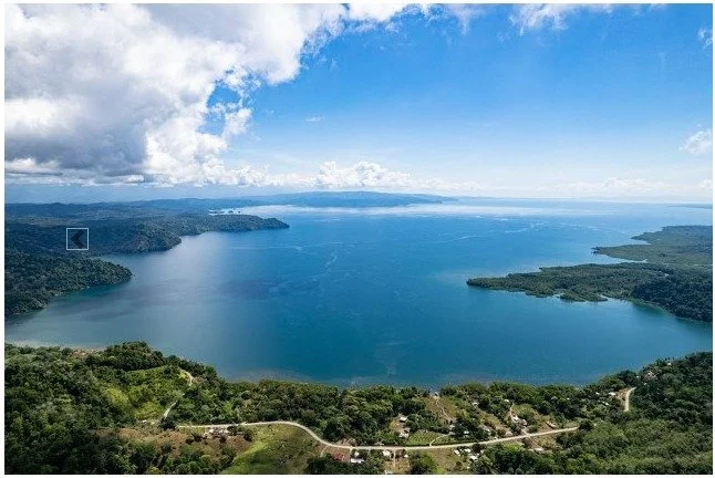 WhatsApp Image 2024-03-04 at 14.18.27.jpeg