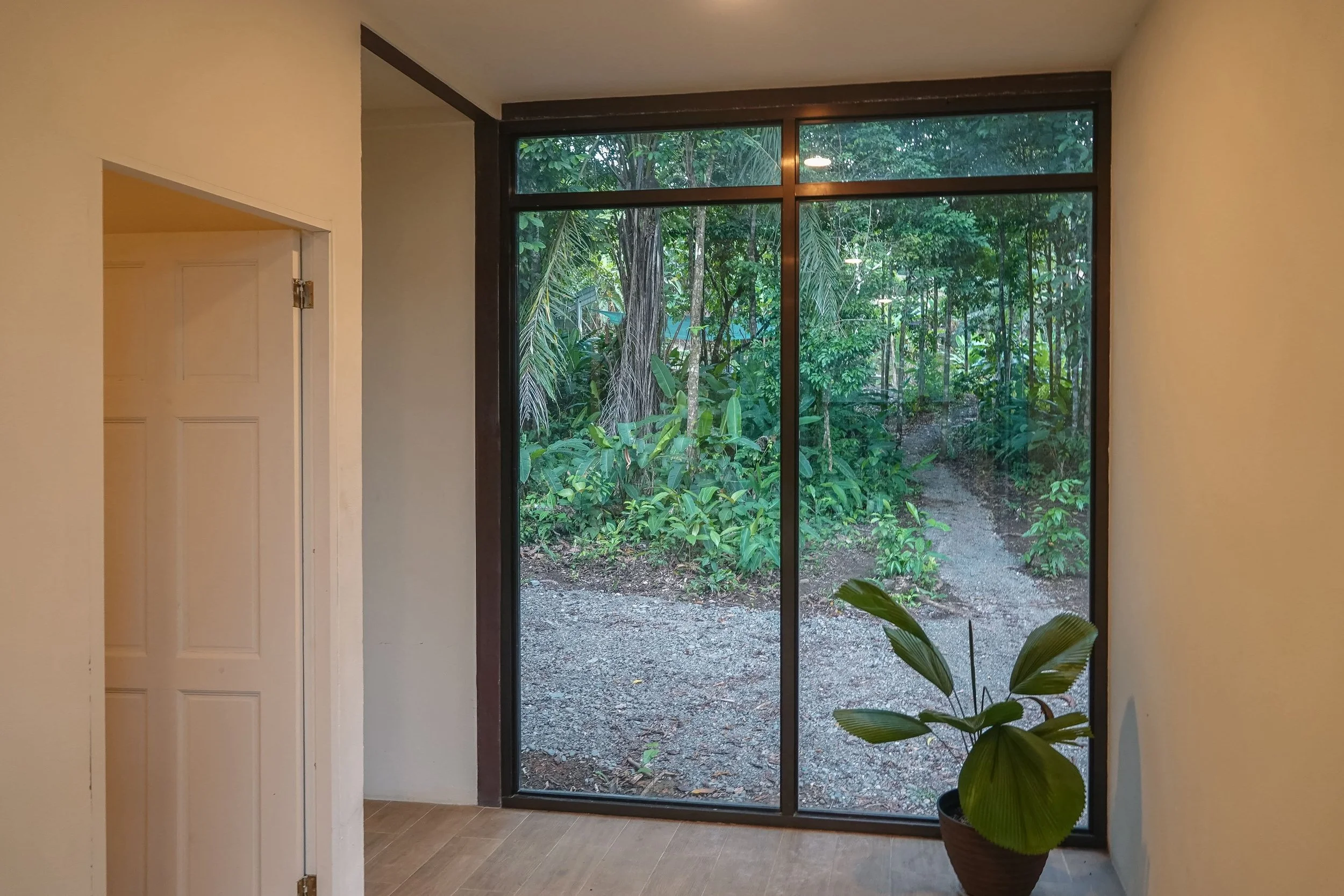 Interior of a room with a large floor-to-ceiling window showing a lush green forest outside, a potted plant inside near the window, and a partially open white door.