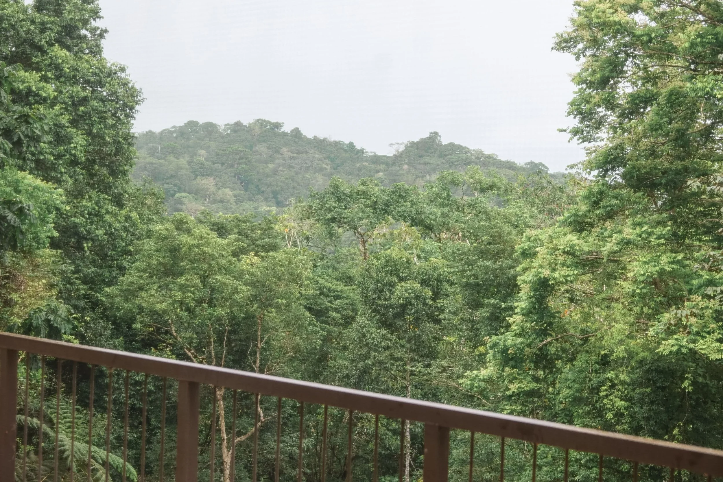 View of a lush green forest with trees on hills in the distance, seen from a balcony with a brown railing.