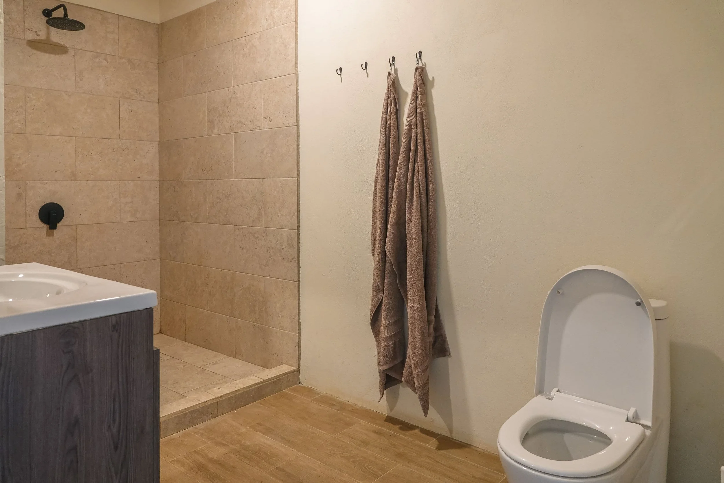 Bathroom with a walk-in shower, two towels hanging on hooks, a toilet with the lid up, and a sink with dark wood cabinet.