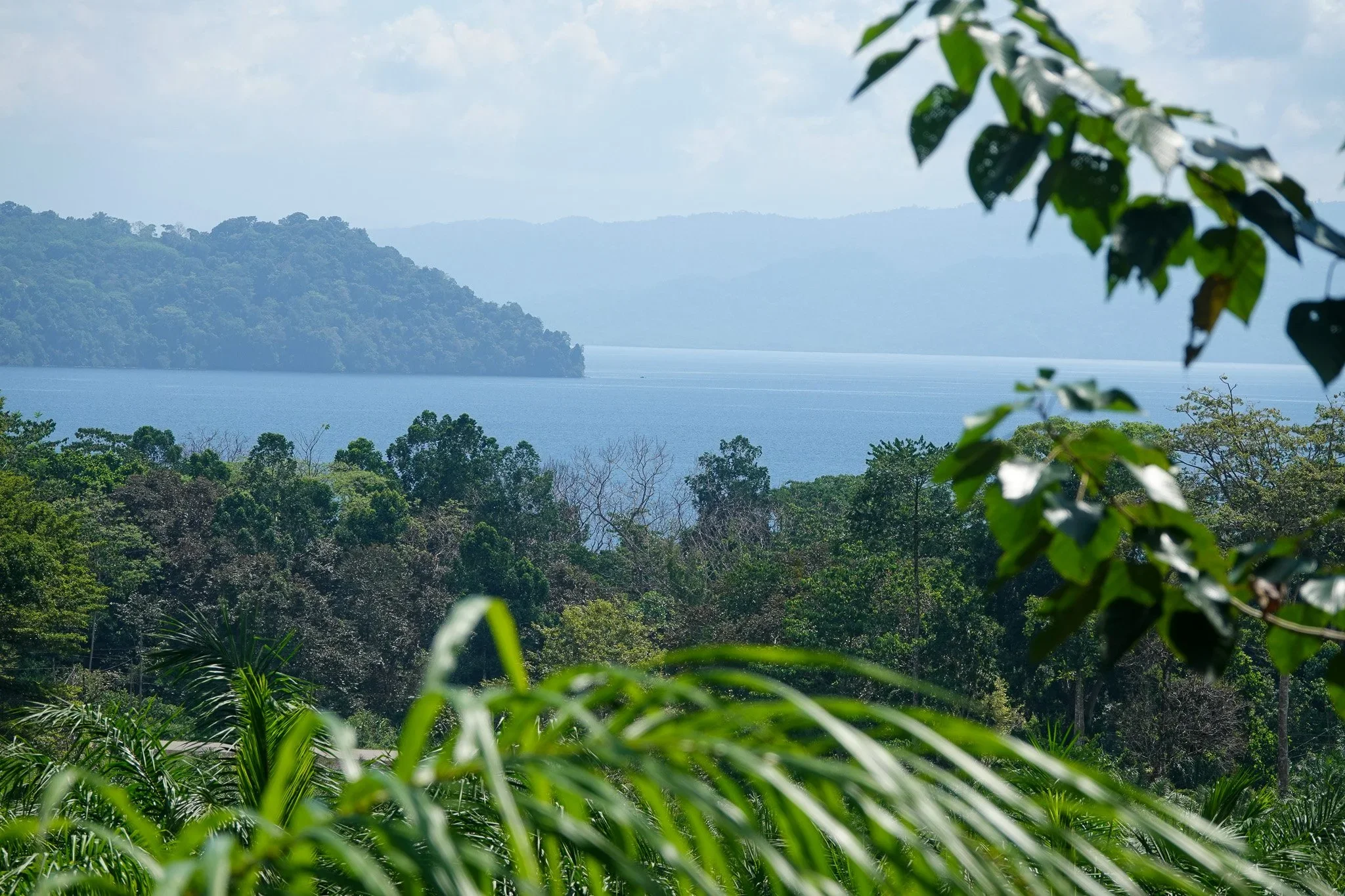 80 Hectares in Rincón
