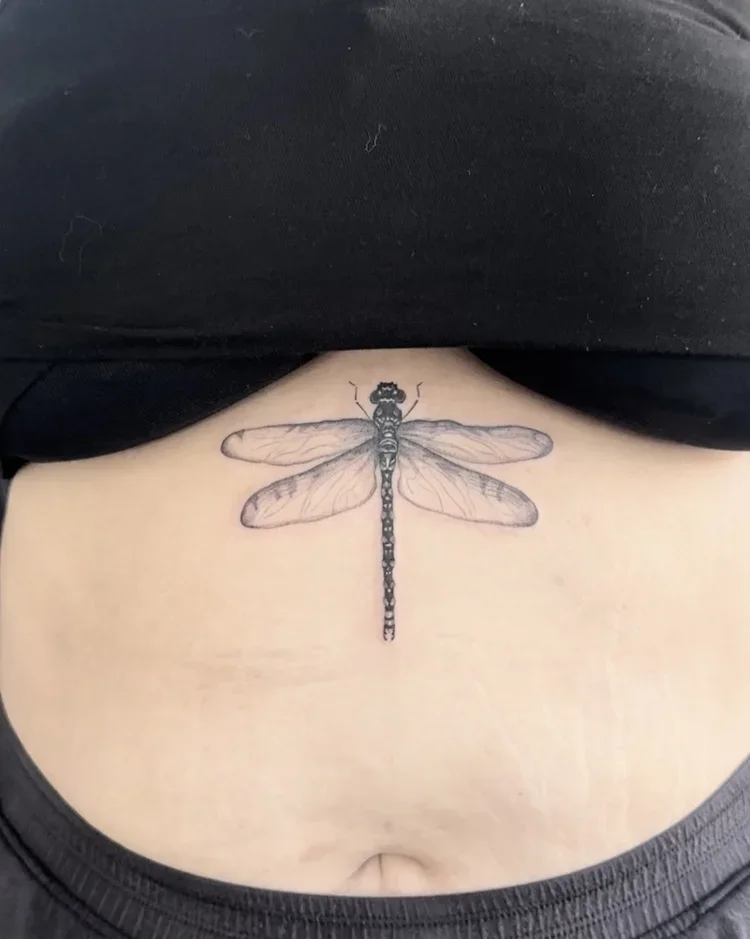 A dragonfly tattoo on a person's lower abdomen.