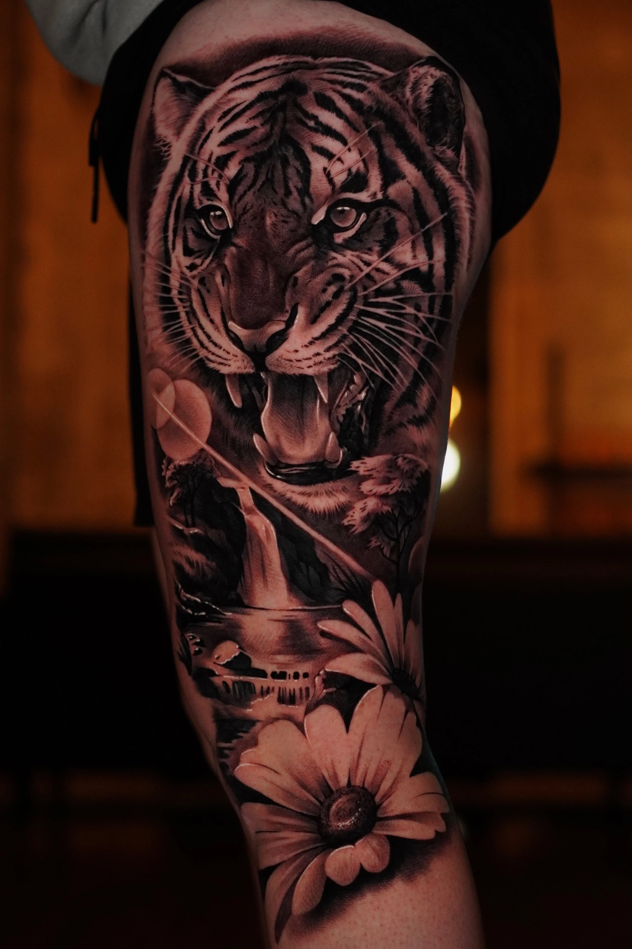 A detailed black and gray tattoo of a tiger's face with an open mouth showing teeth, covering most of a person's arm.