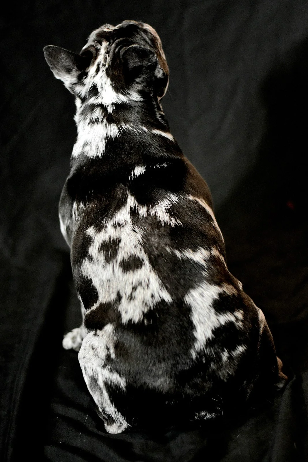 DSC_0226.jpg