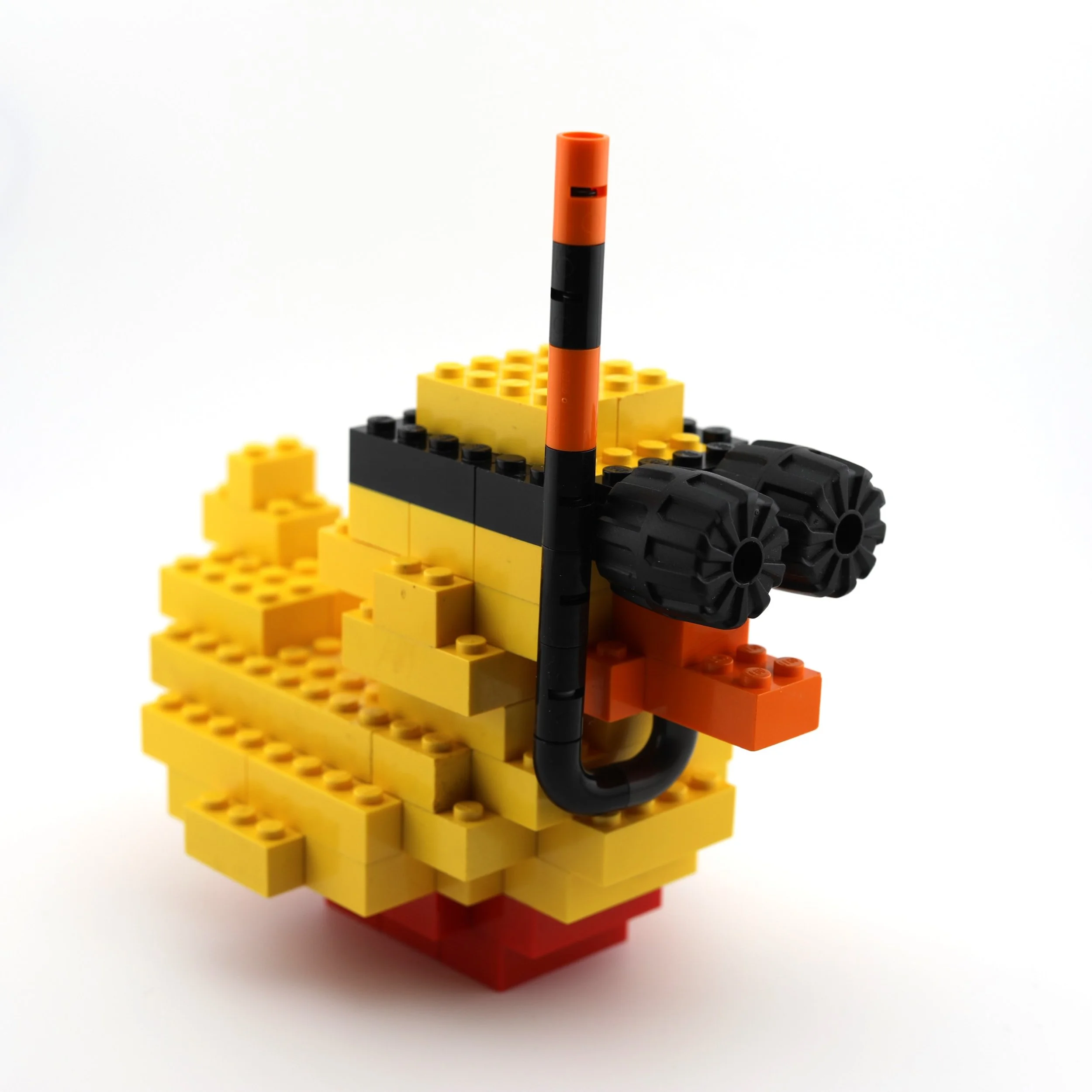 snorkel2.JPG