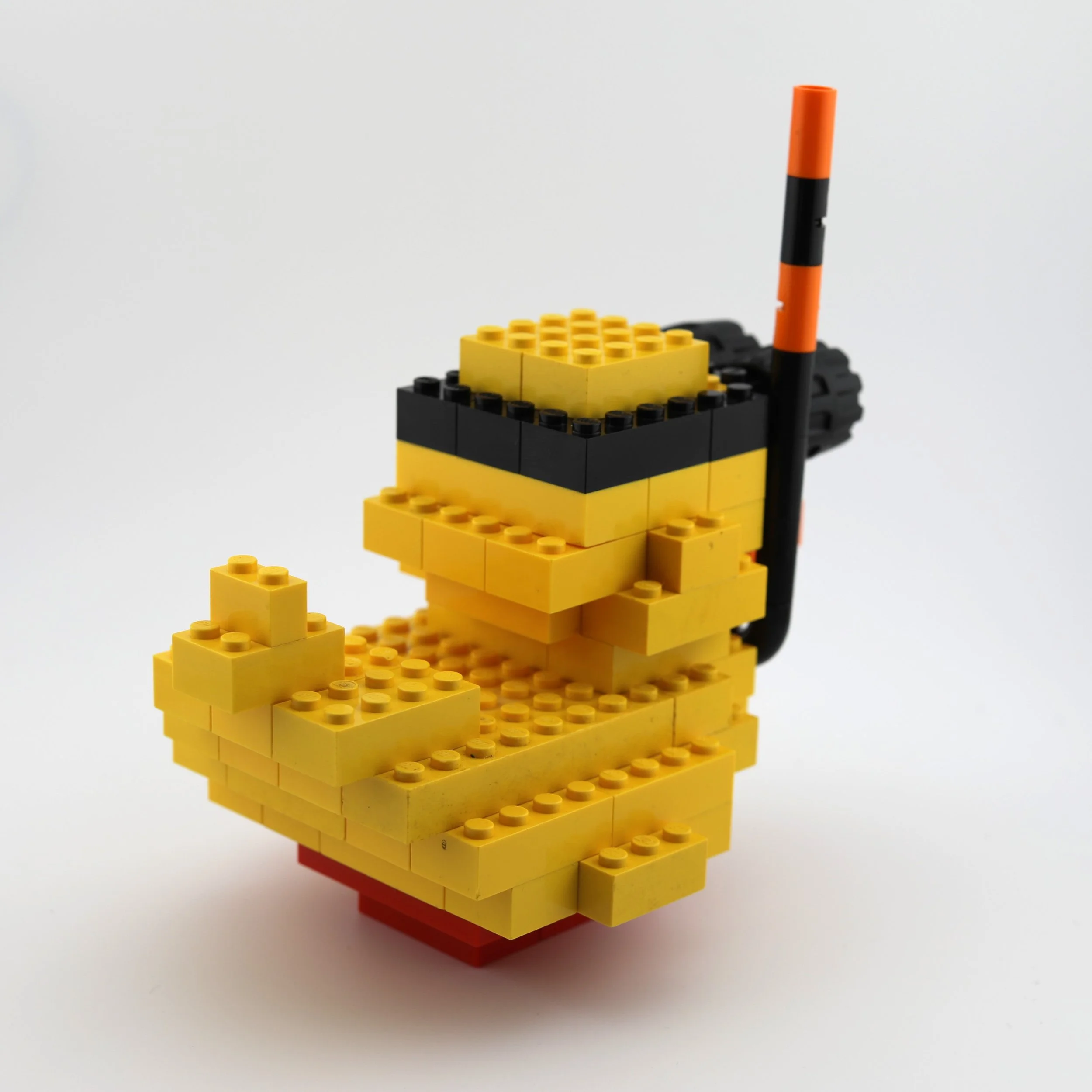 snorkel3.JPG