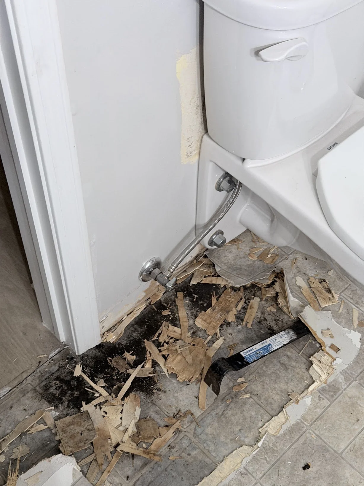 bathroom_floor_rot_around_toilet.jpg