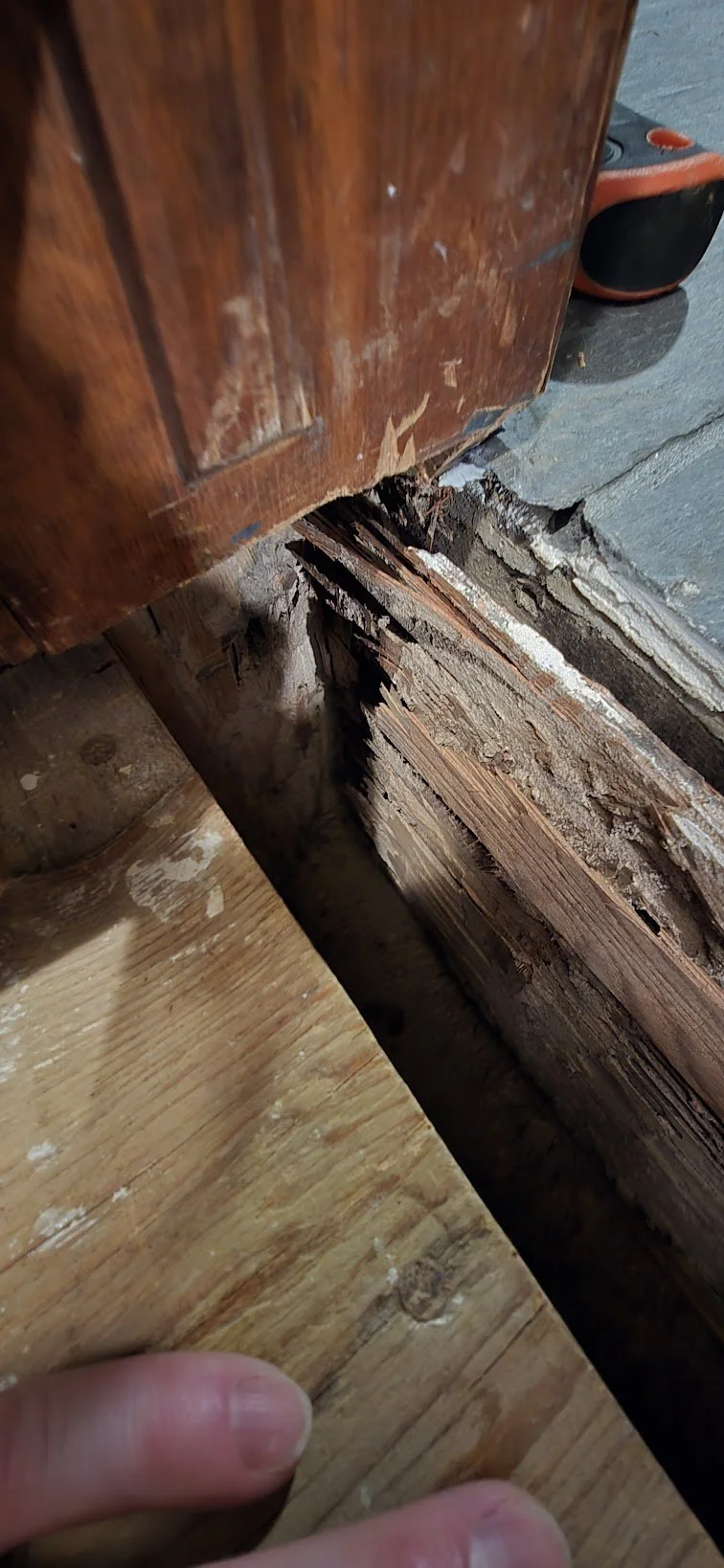 deteriorated_subfloor_at_cabinet_base.jpg