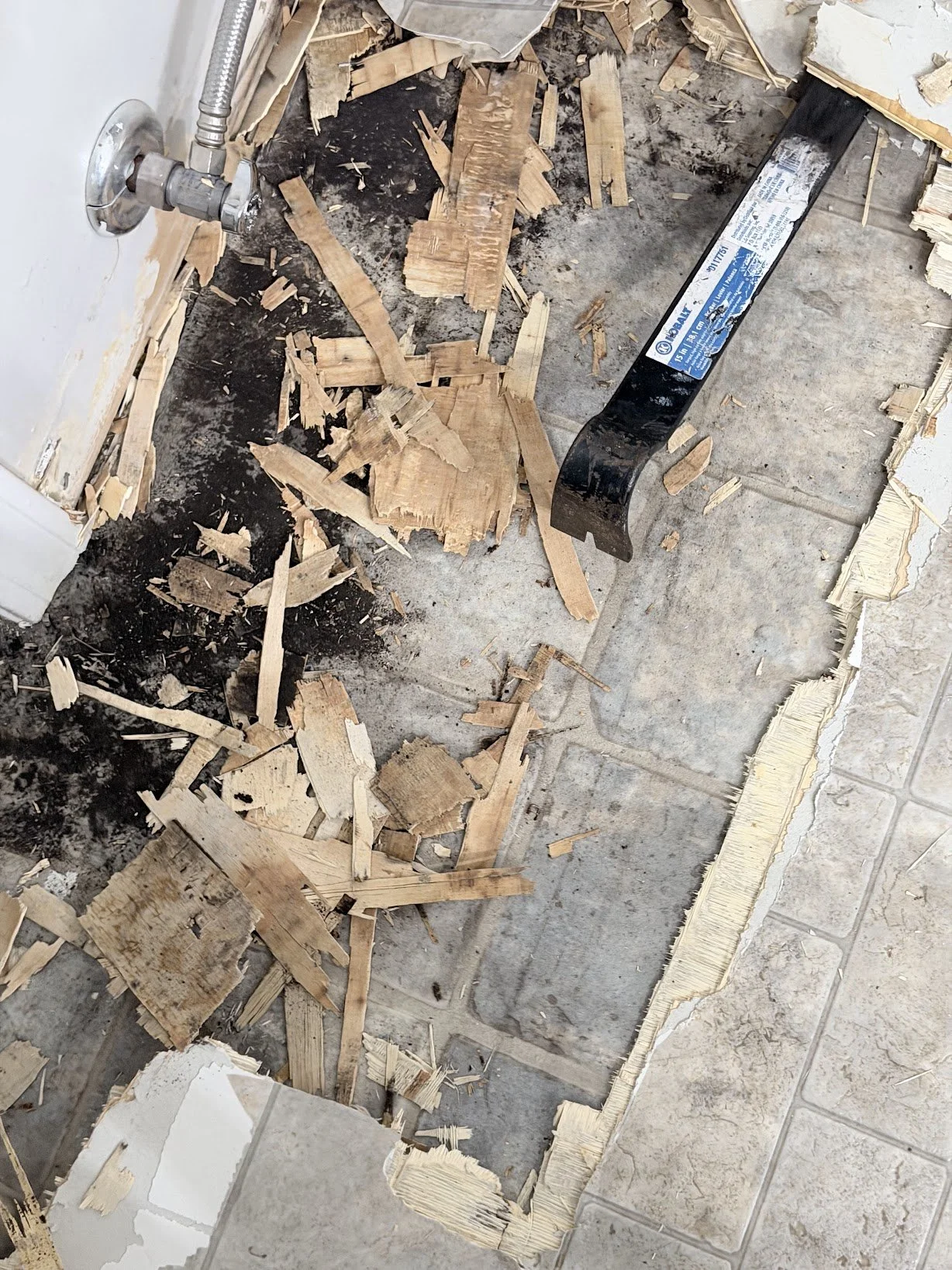 rotted_bathroom_floor_underlayment.jpg