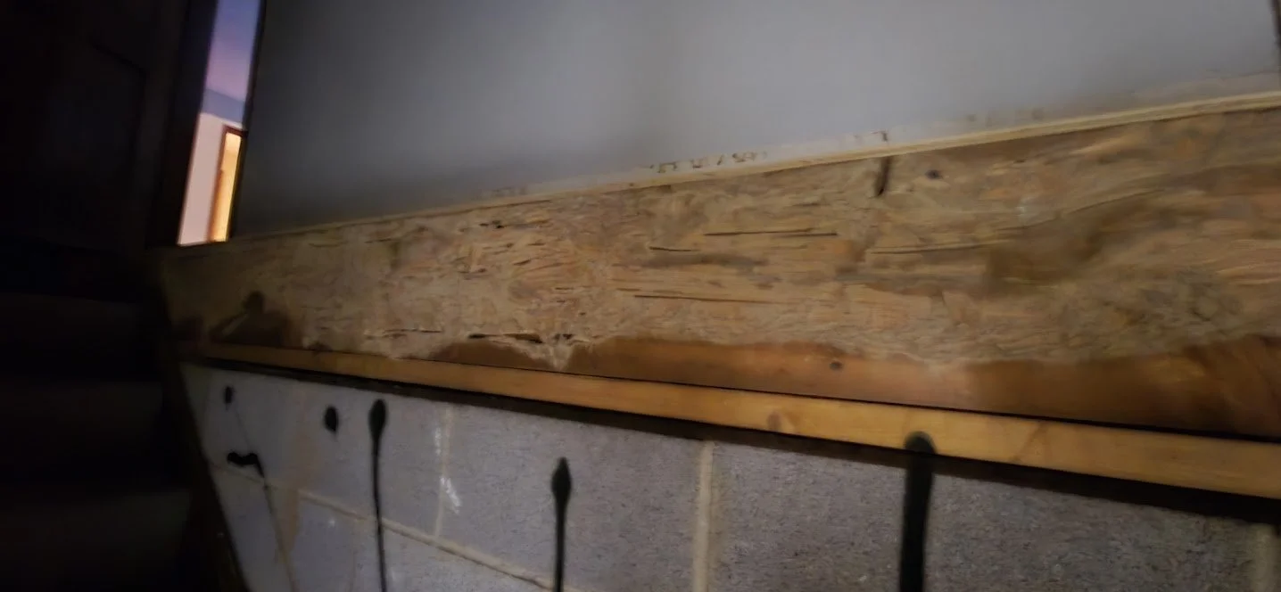 moisture_staining_mold_like_growth_baseboard.jpg