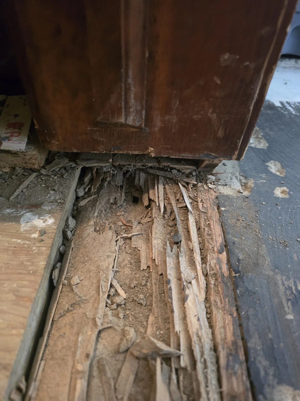 rotted_subfloor_at_door_threshold_closeup.jpg