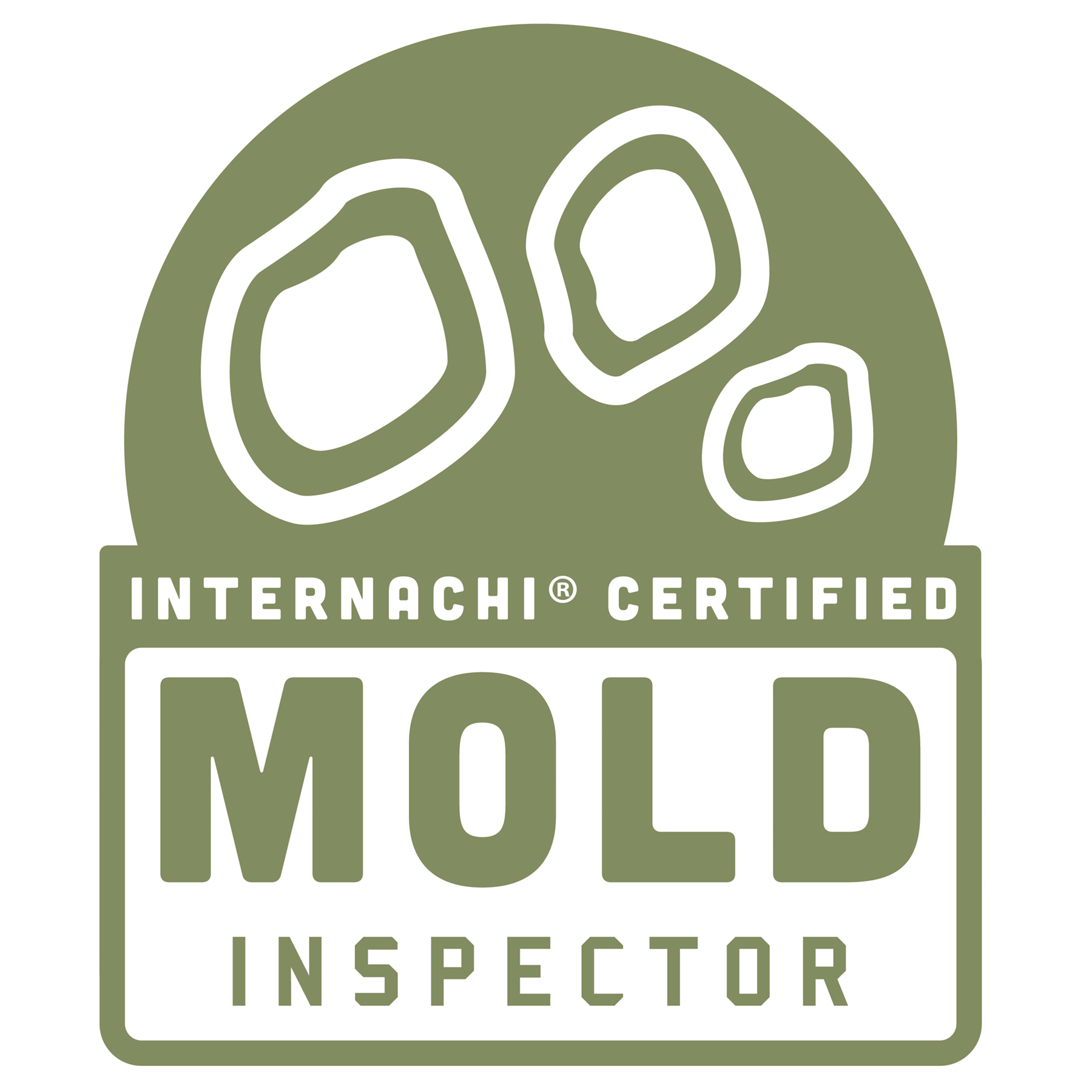 Certification badge with a green background, depicting three abstract shapes and the text 'INTERNACHI CERTIFIED MOLD INSPECTOR'.