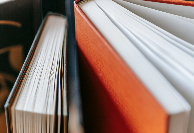 New York State Education Department Virtual Conference on Early Literacy Best Practices &amp; Science of Learning