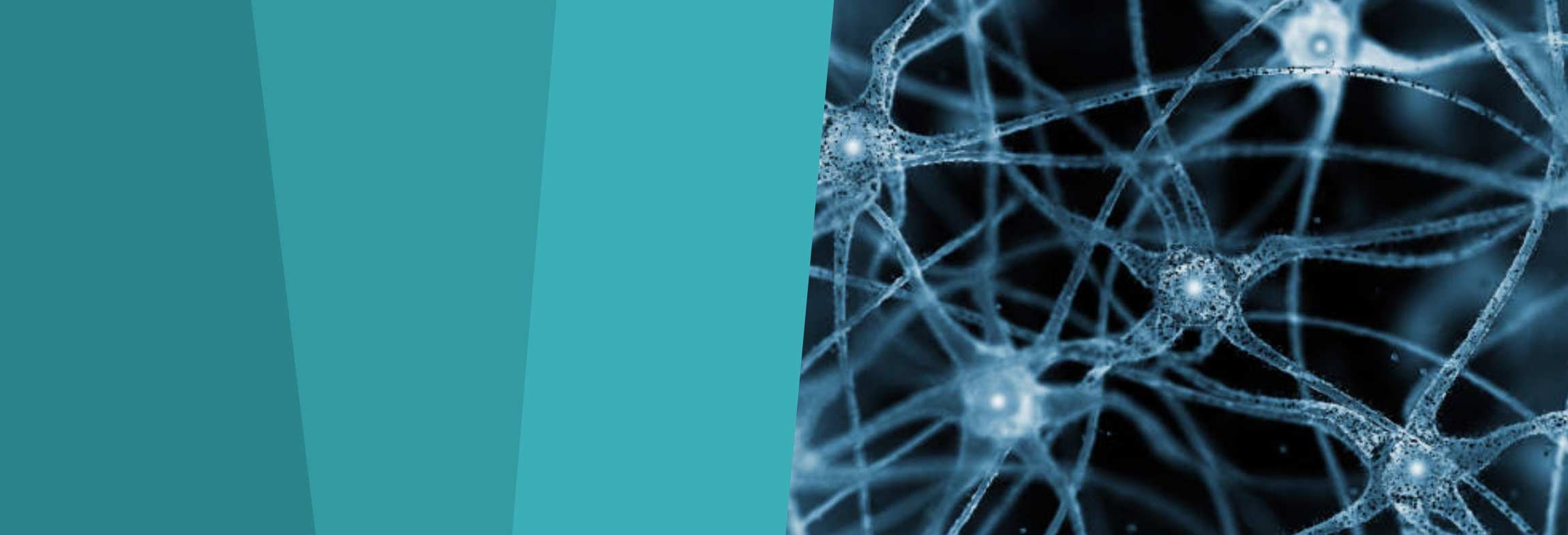 Black and white close-up of synapses in the brain crisscrossing one another.