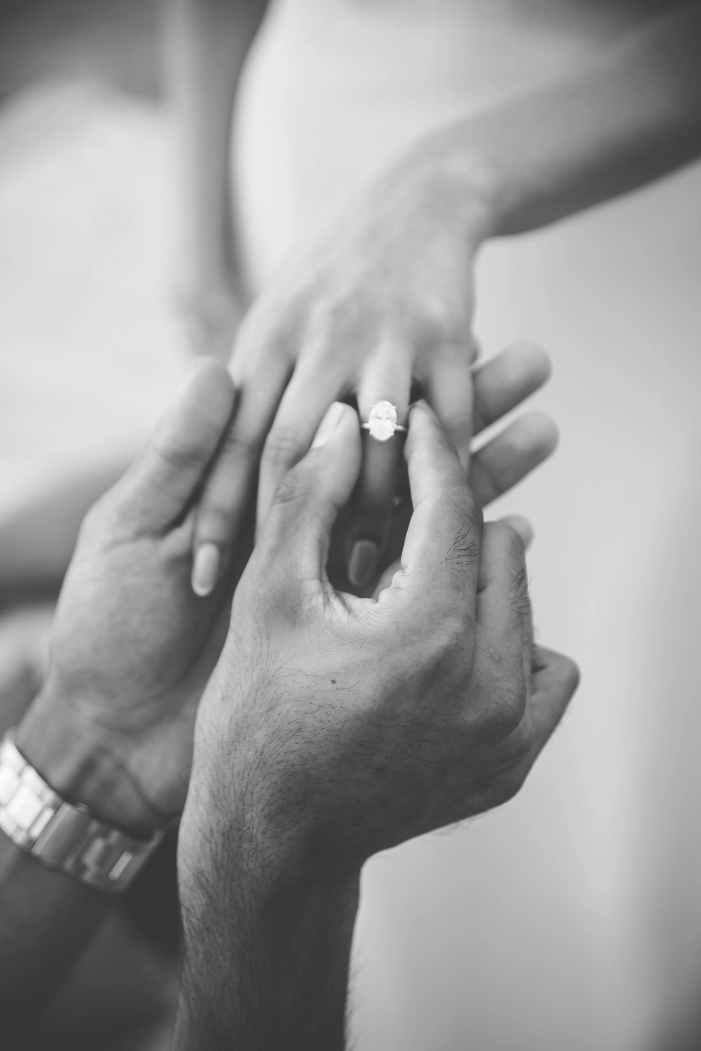 6U9A6863_Original 2.JPG