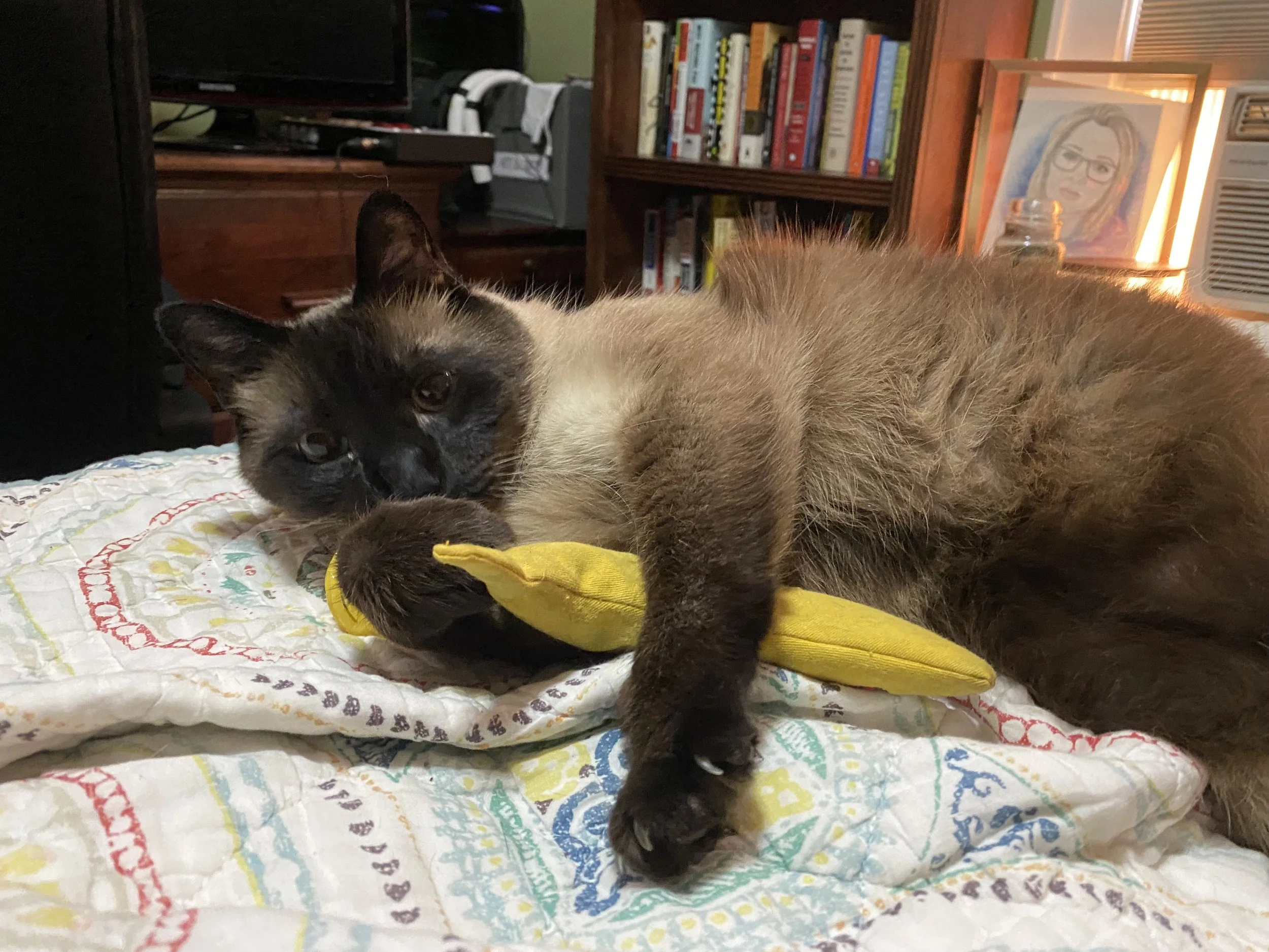 IMG_3504.jpeg