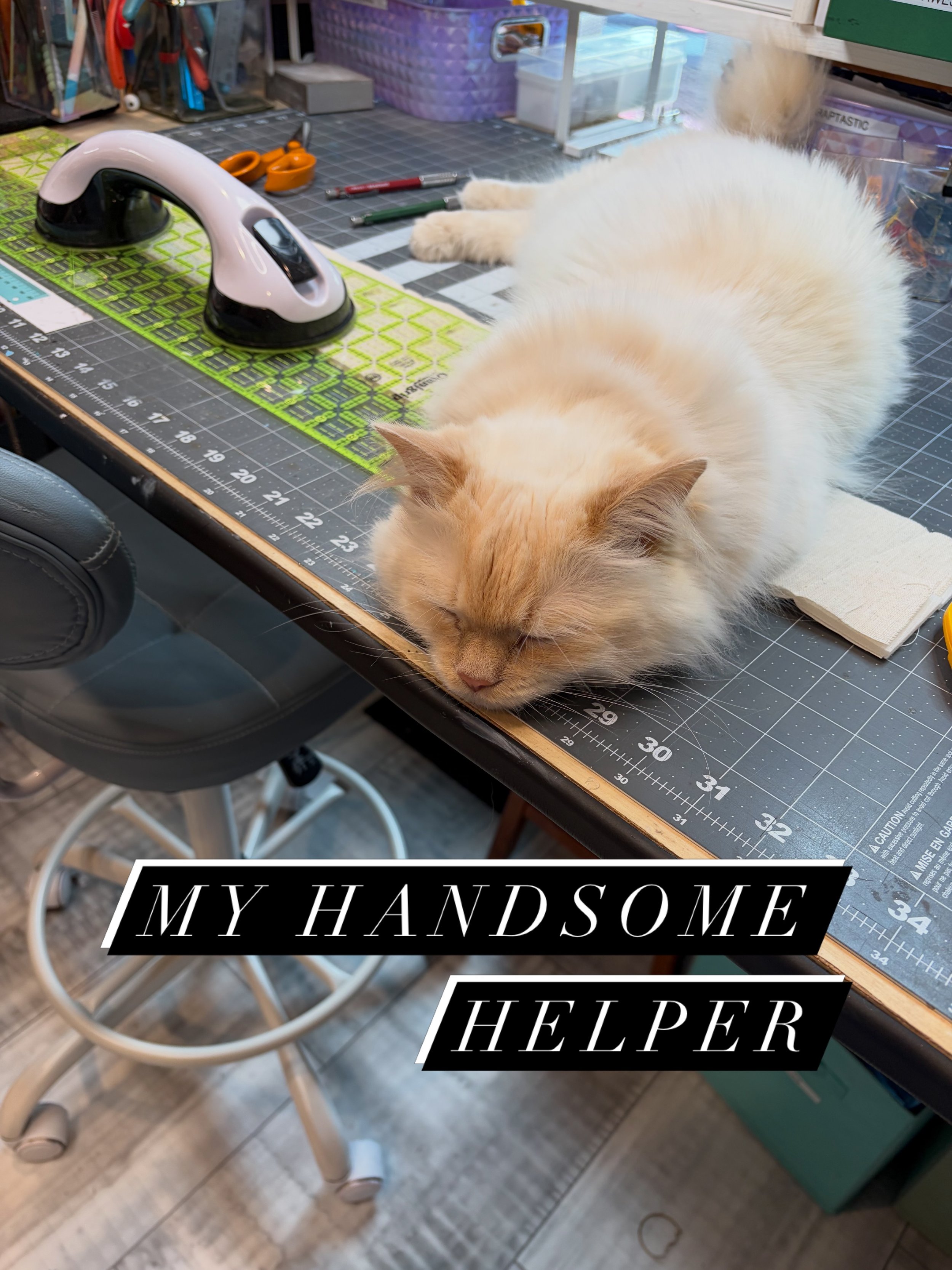 And @ashleygarrels wonders why it&rsquo;s taking so dang long for me to finish her Folio. 🙄 #kittylove #mommyslittlehelper❤️ #butnothowyouthink #handcrafted  #pumpkin