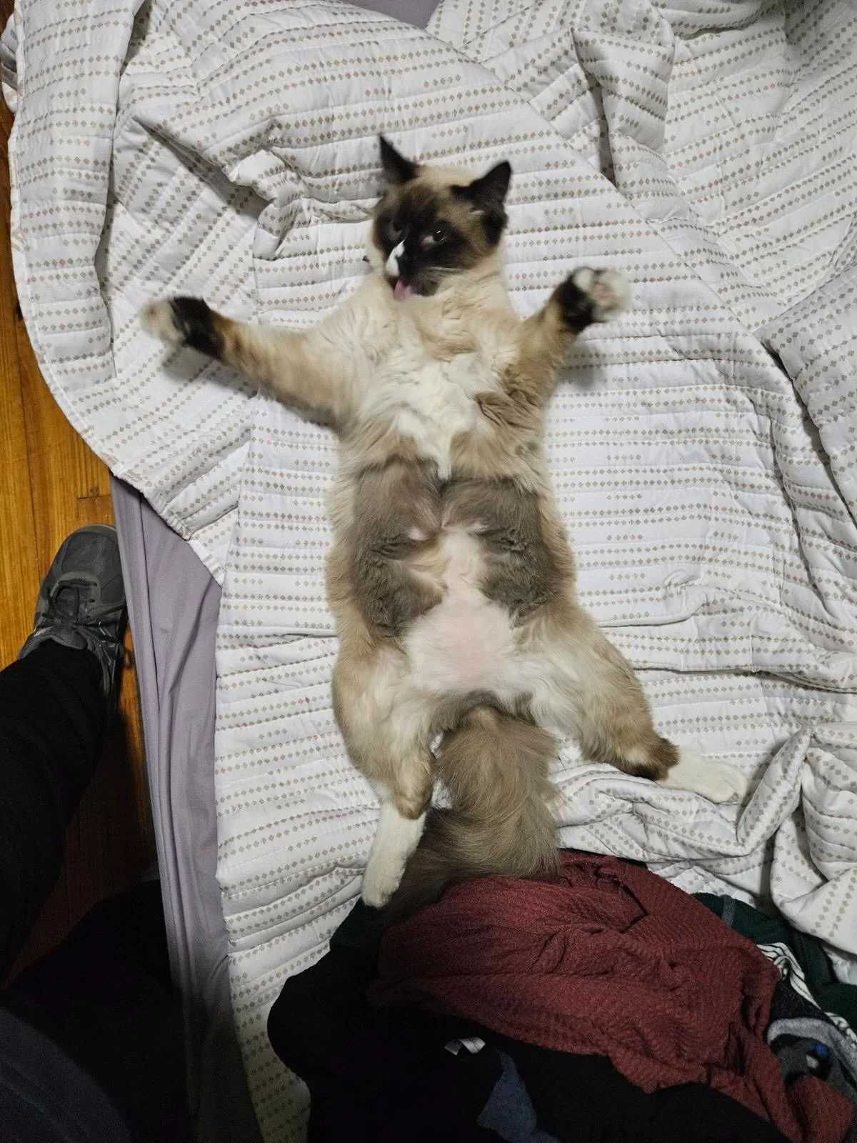 image000003.jpeg