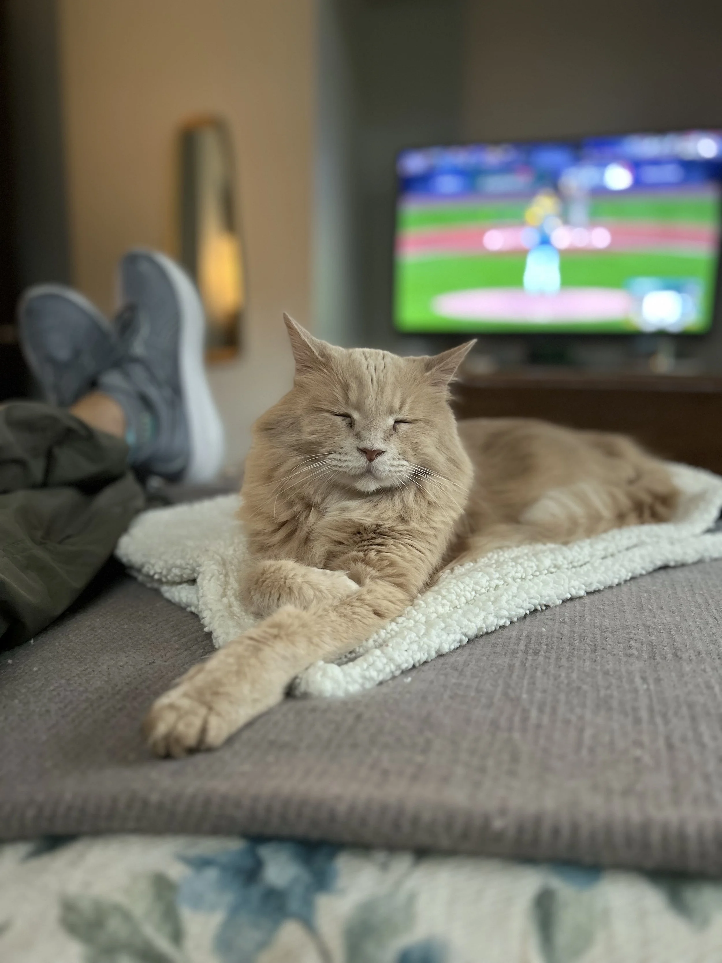 IMG_2770.jpeg