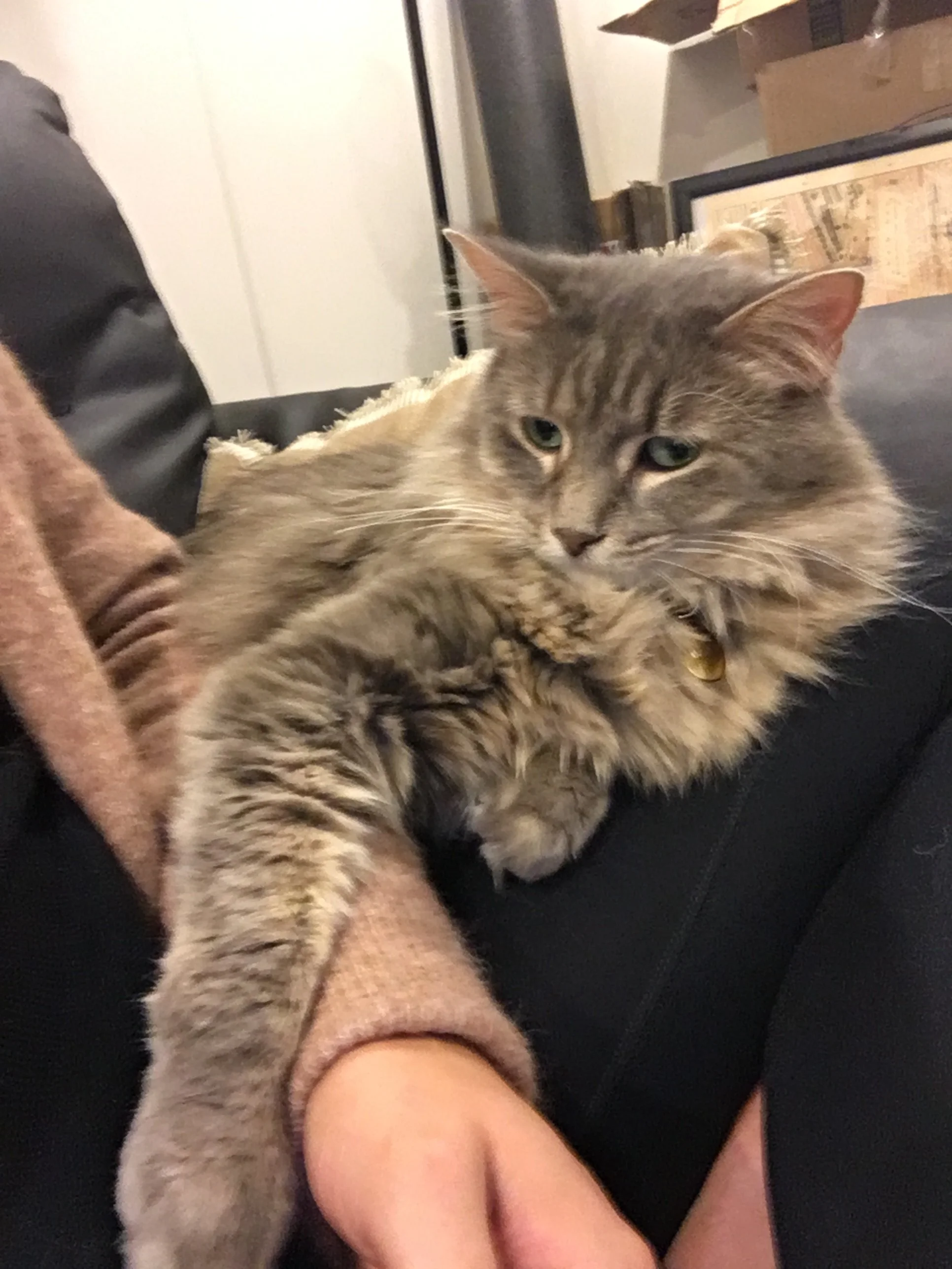 Smuff