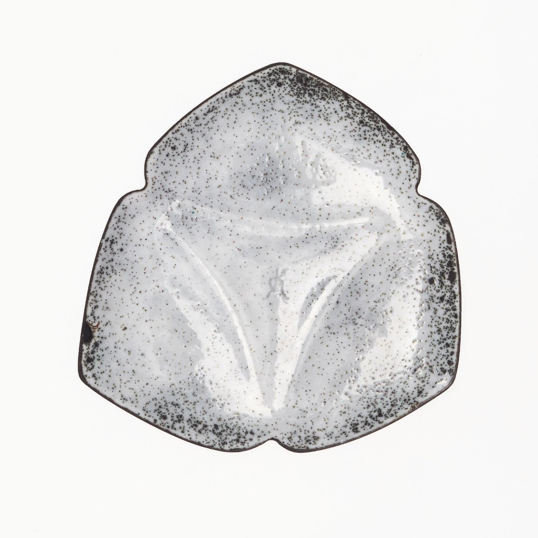 small-dish--131-back-edit.jpg