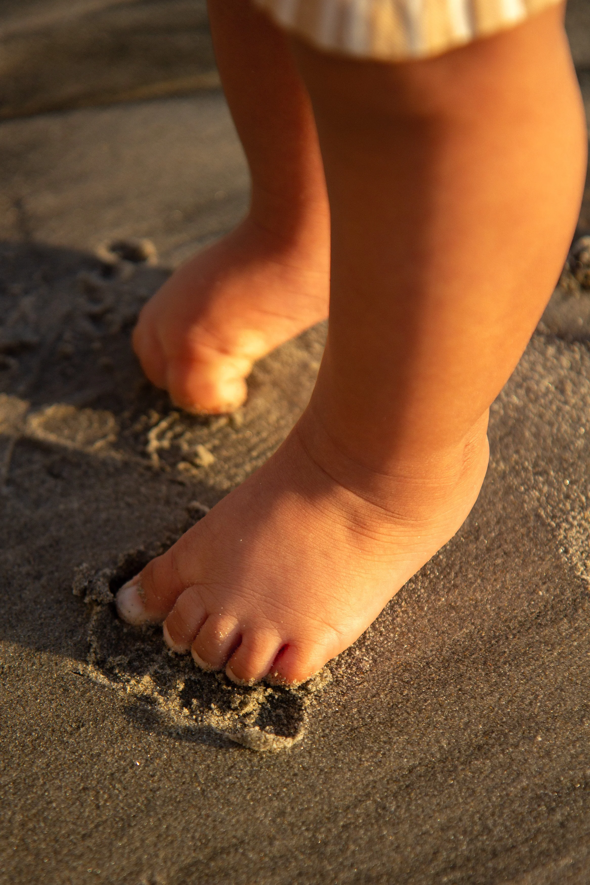San Diego Family Photography-9.jpg