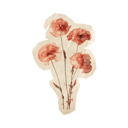 Watercolor illustration of five pinkish-red flowers with brown stems on a white background.