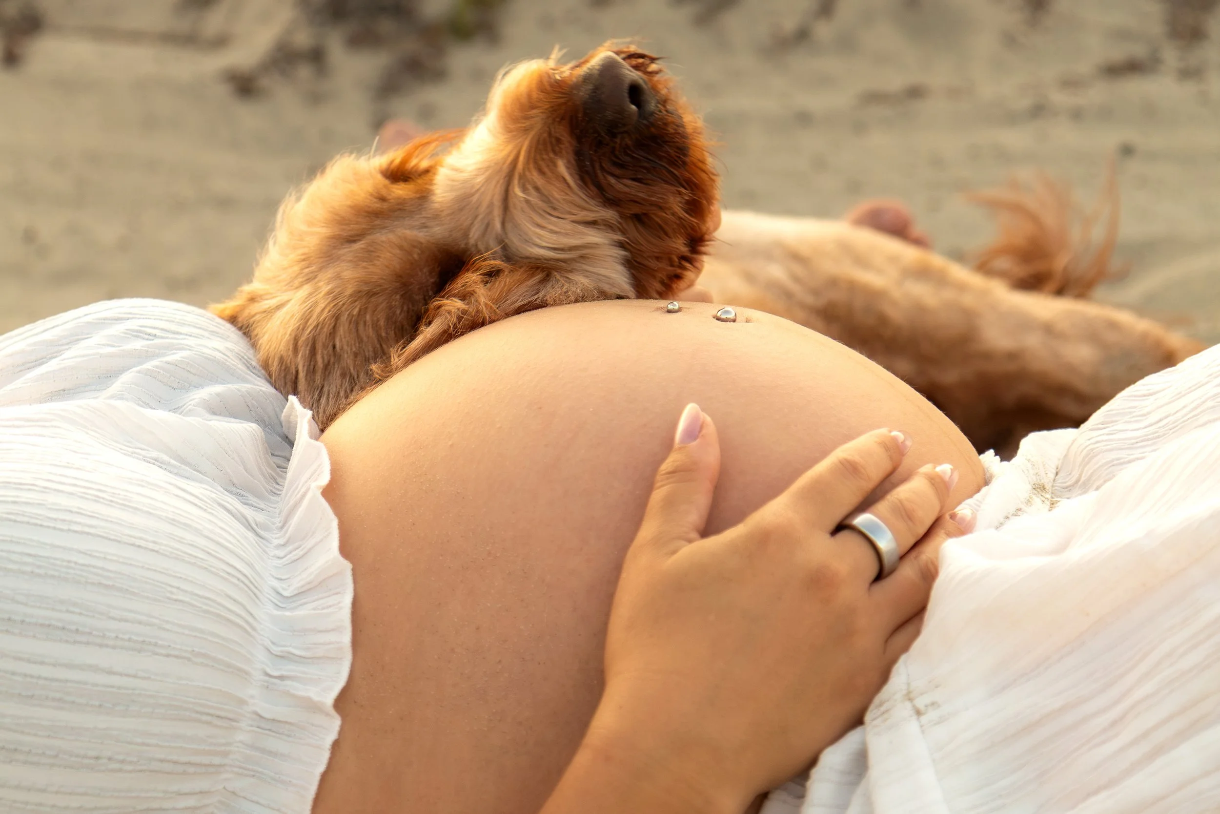 Coronado San Diego Maternity Couple 1-12.jpg