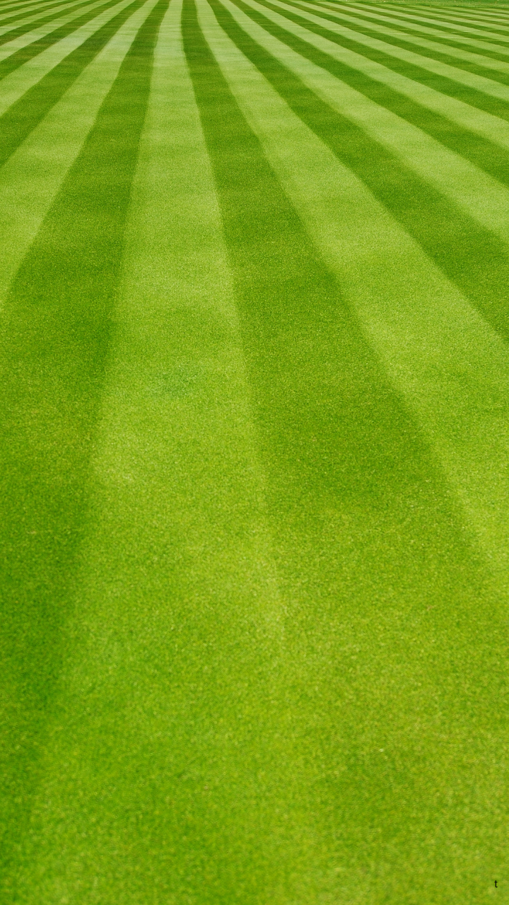 Green baseball field with striped grass pattern.