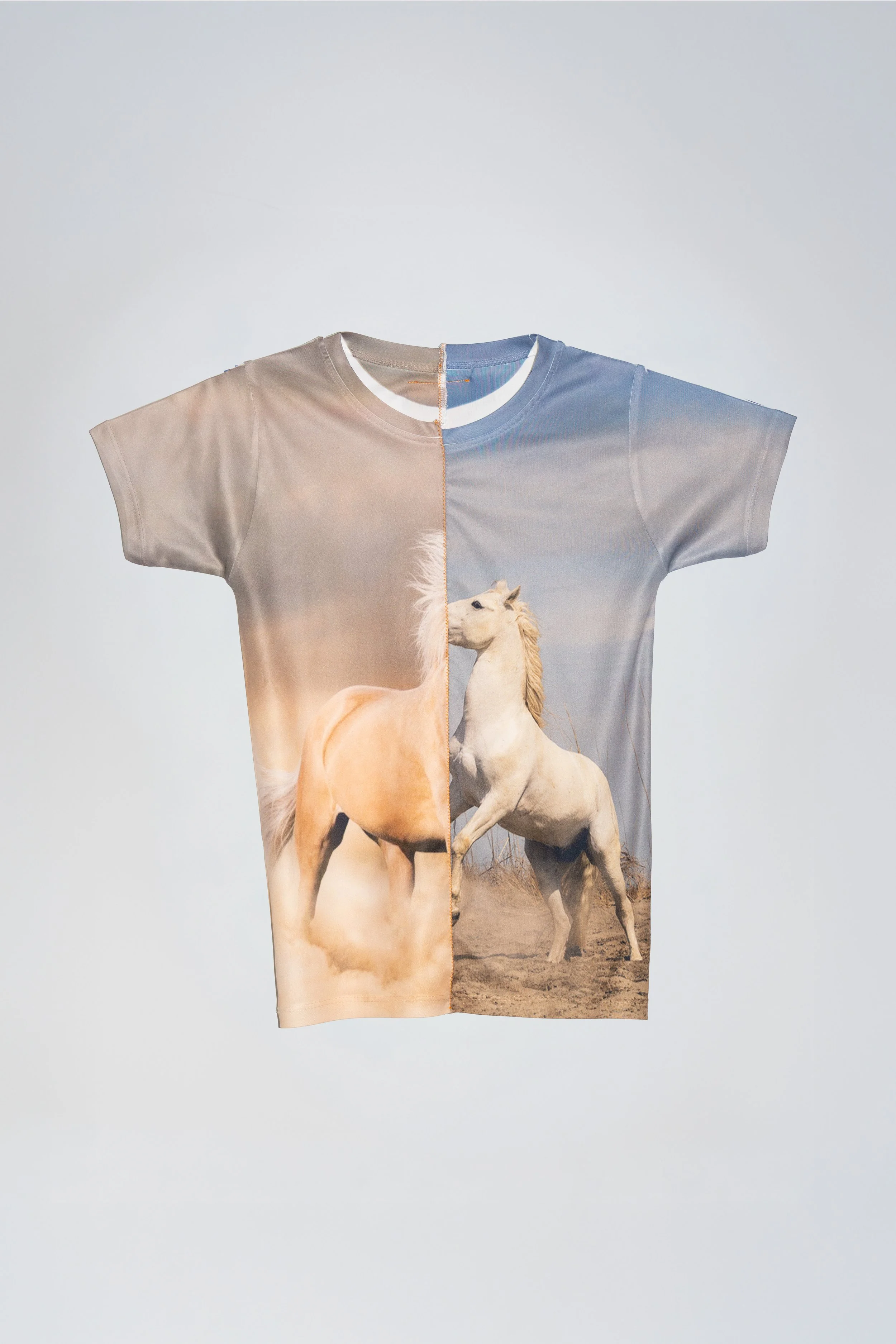 HORSY STAR FRONT.jpg