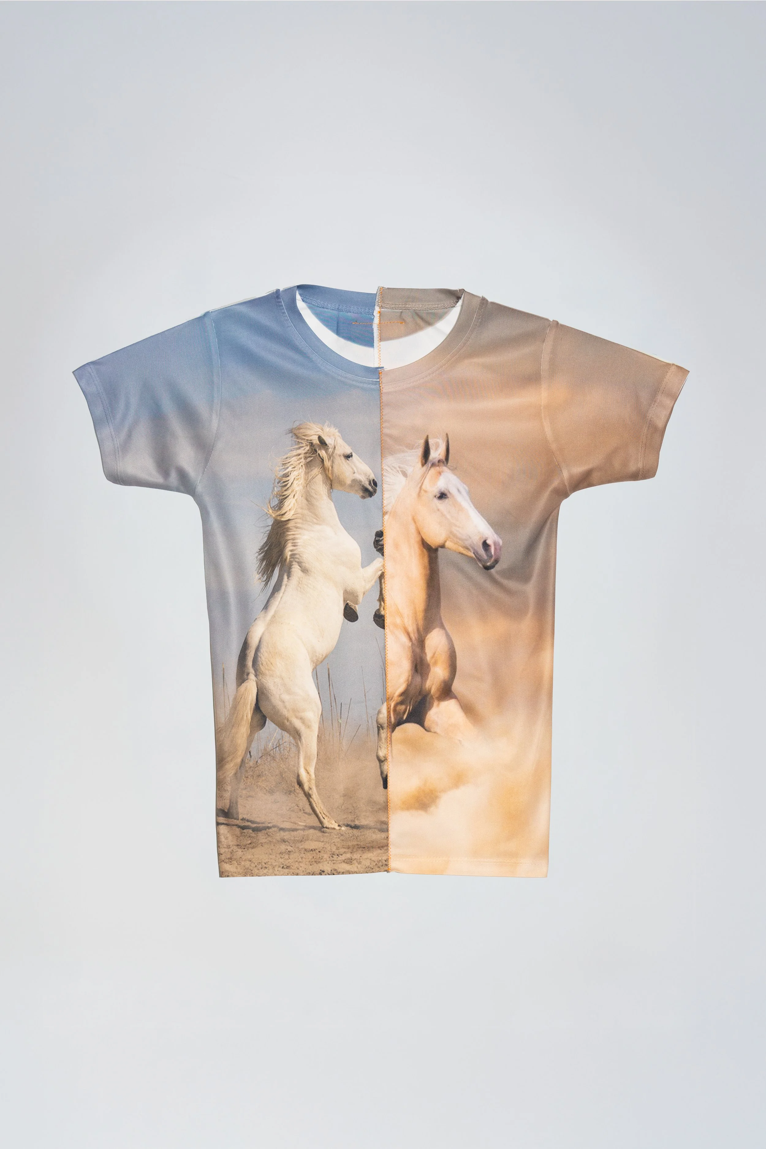 STAR HORSY FRONT.jpg