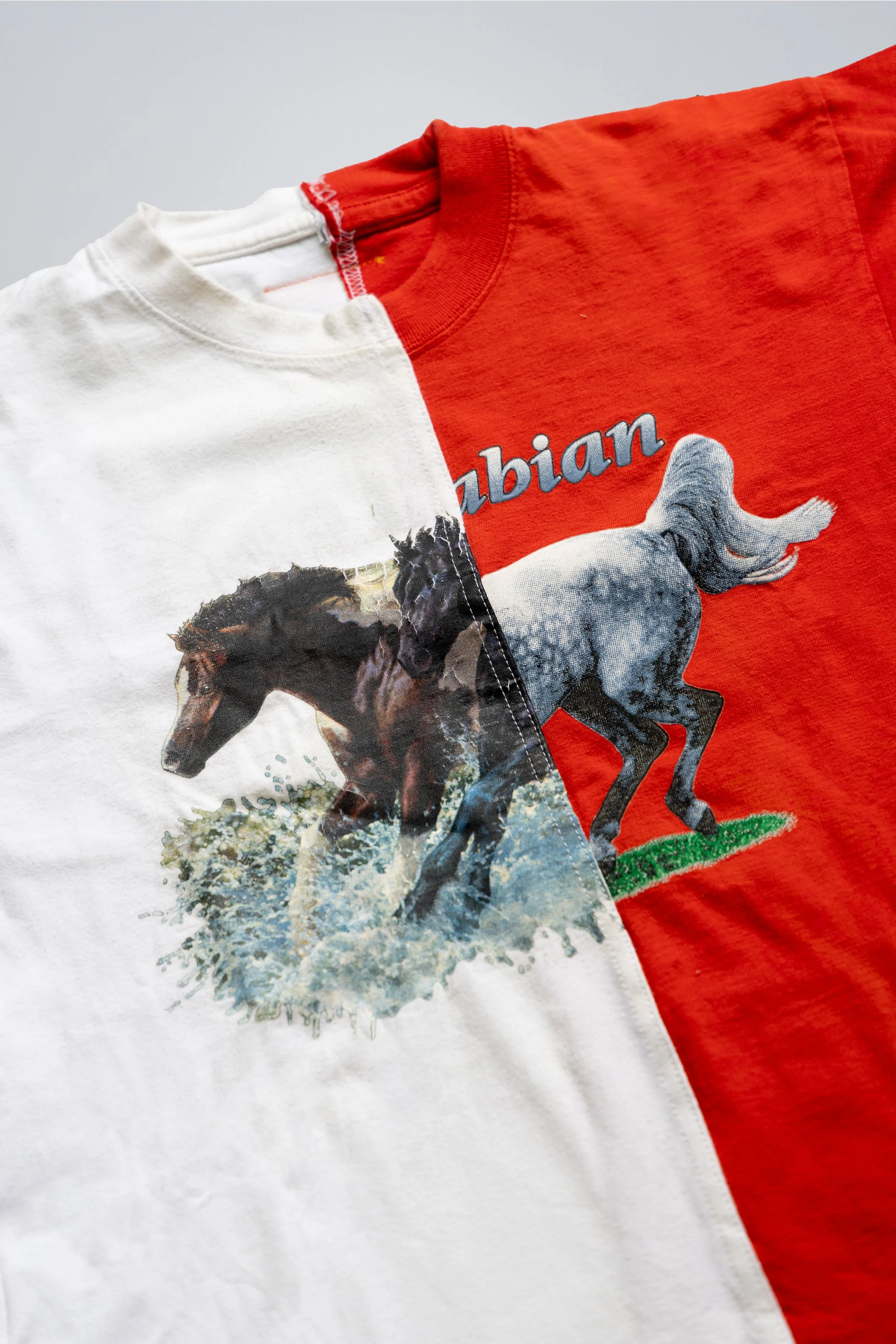 Horse tee Front Detail_4.jpg