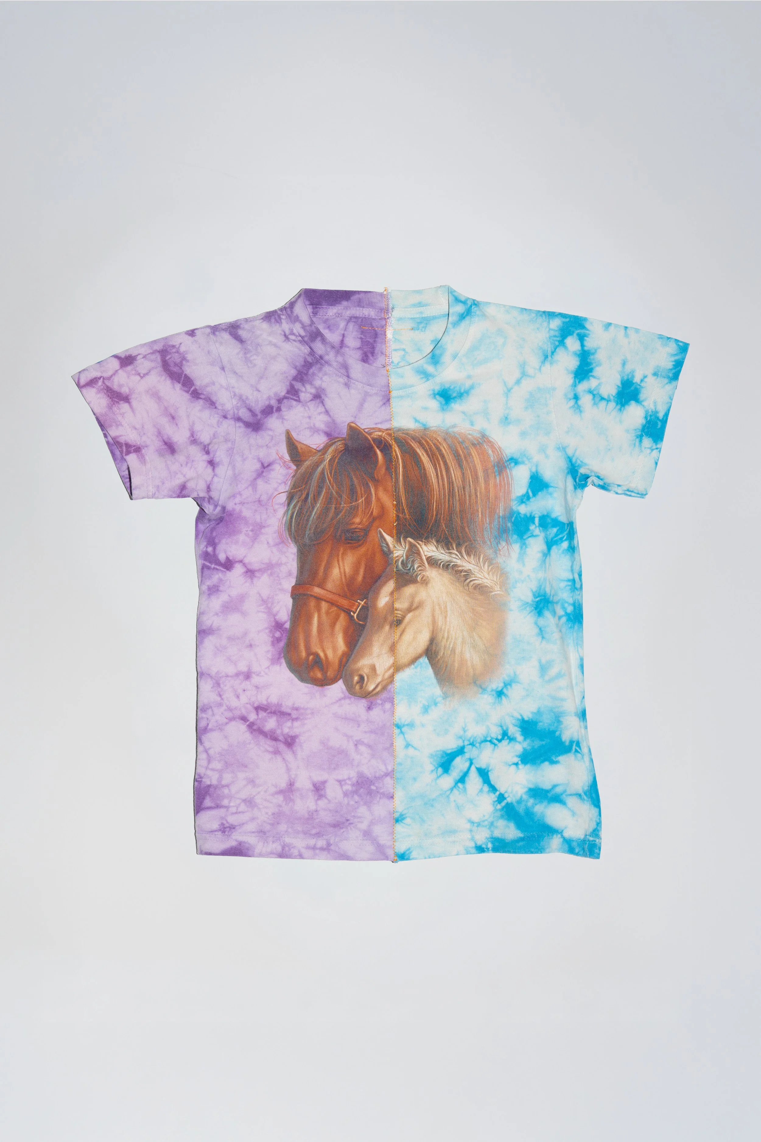 STAR HORSE FRONT.jpg