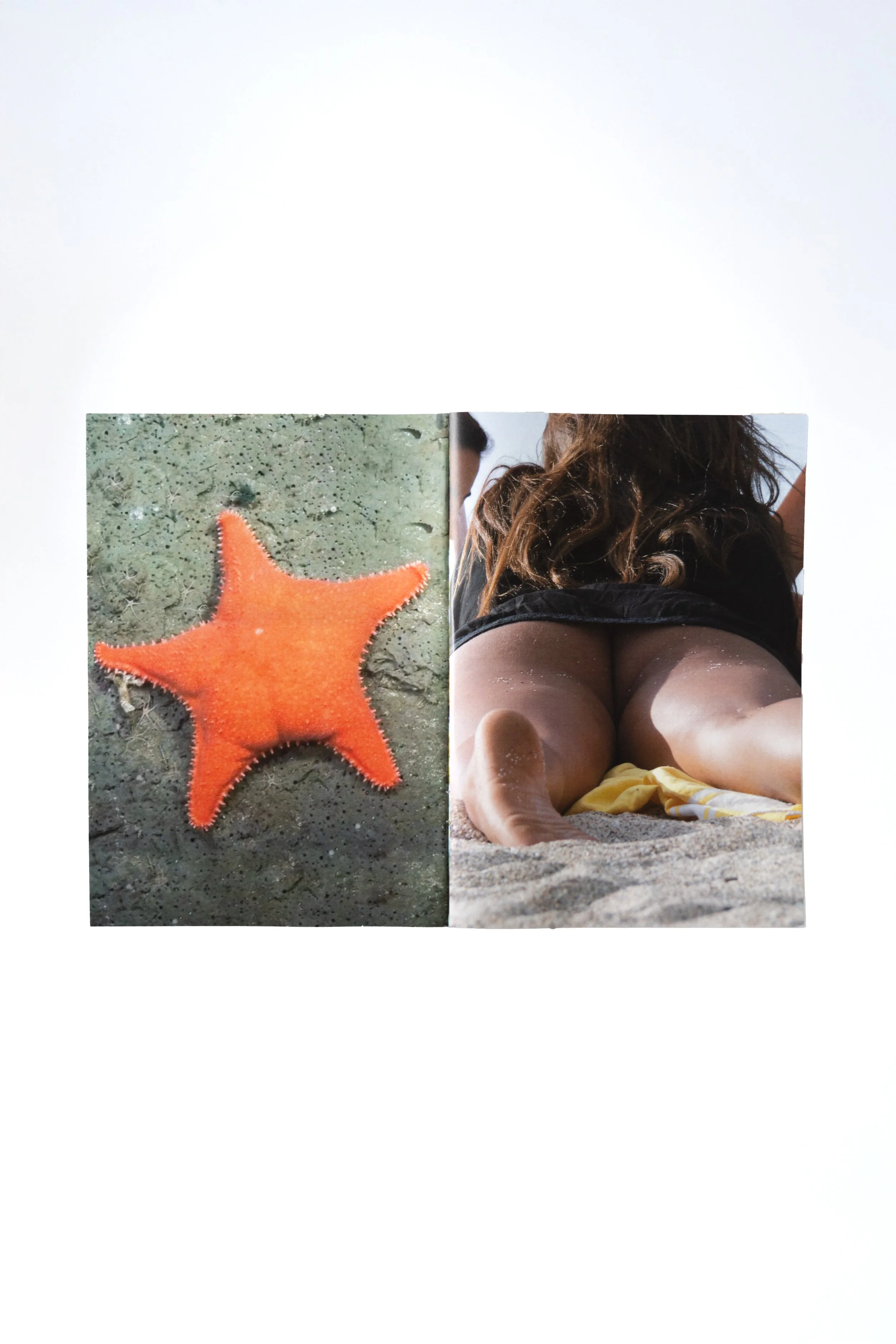 SEARCH STARFISH 2.jpg