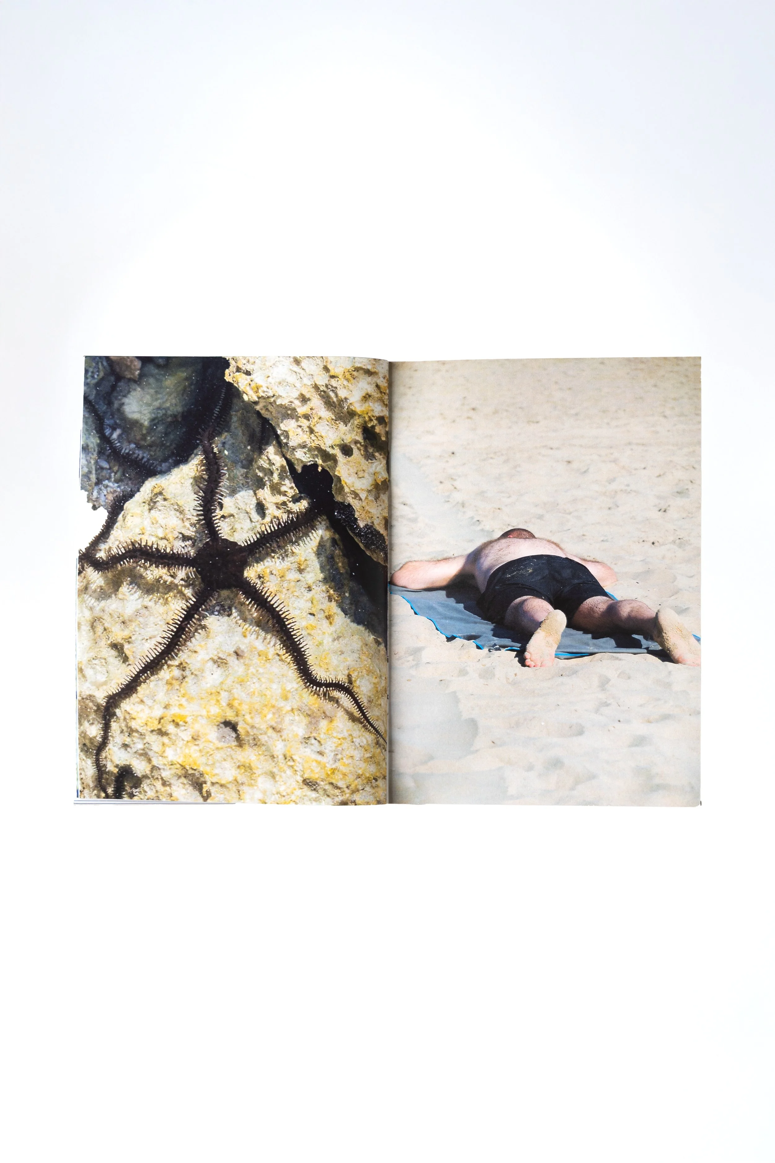 SEARCH STARFISH 5.jpg