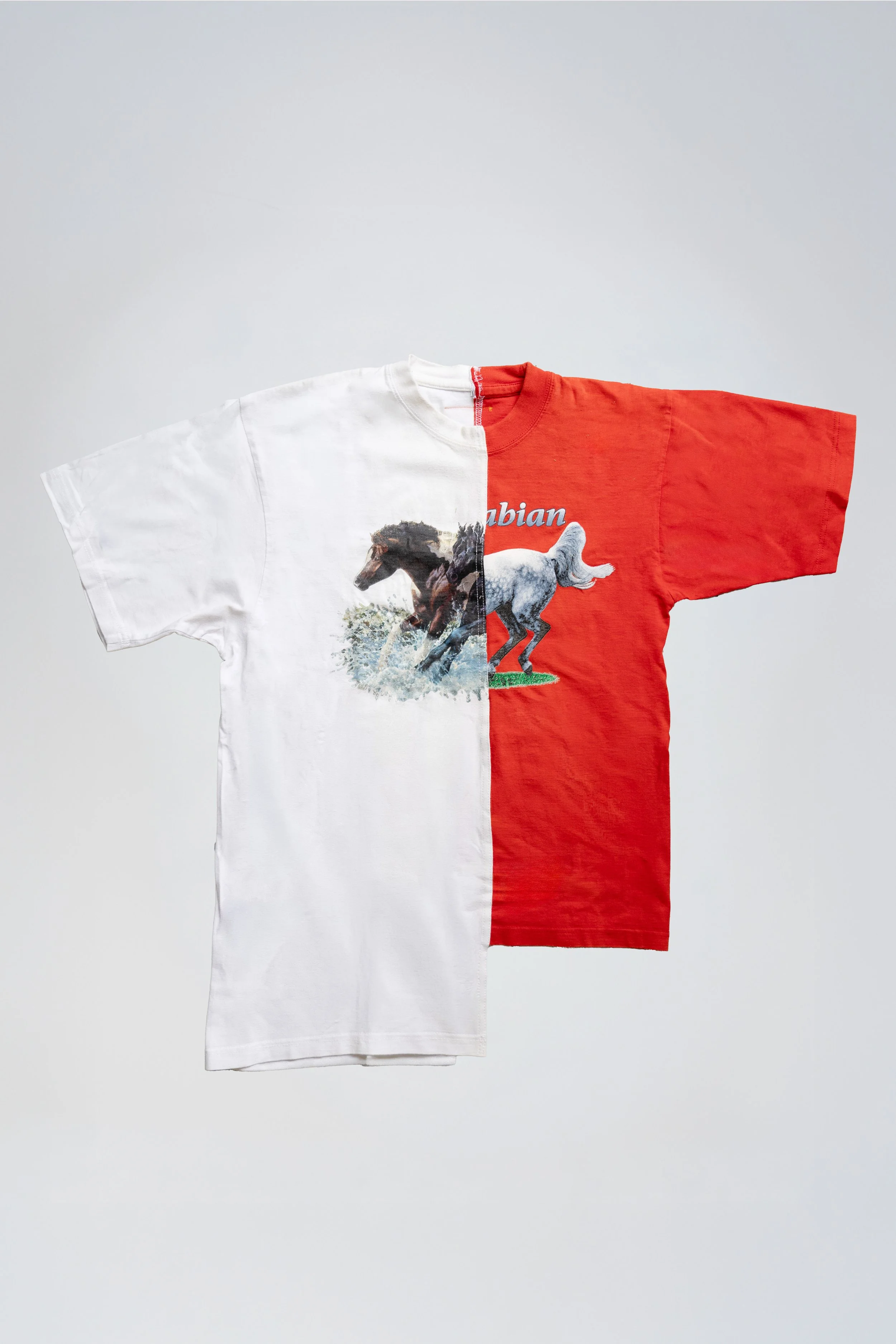 Horse tee Front_4.jpg
