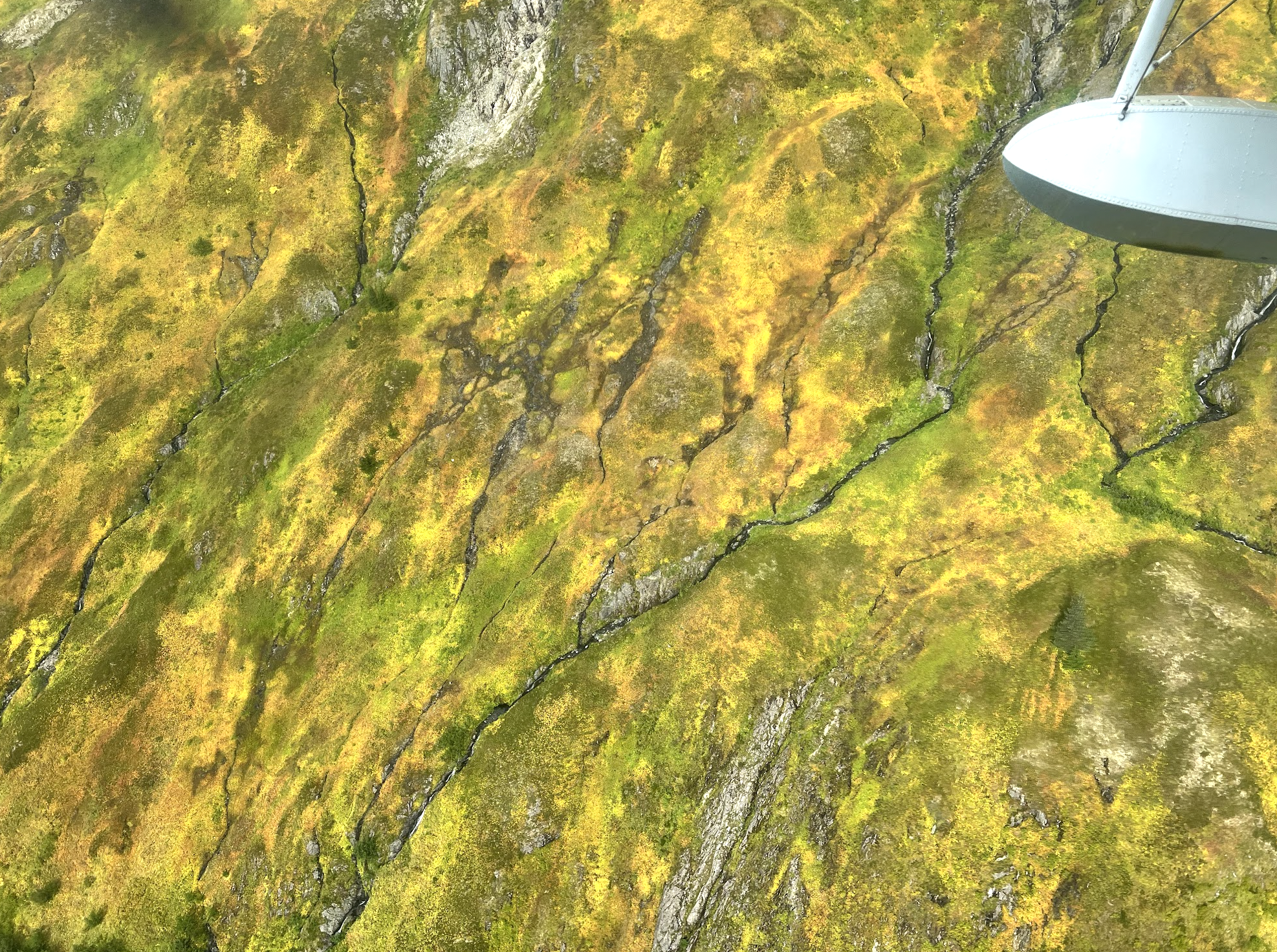 Screenshot 2025-02-05 at 9.58.54 PM.png