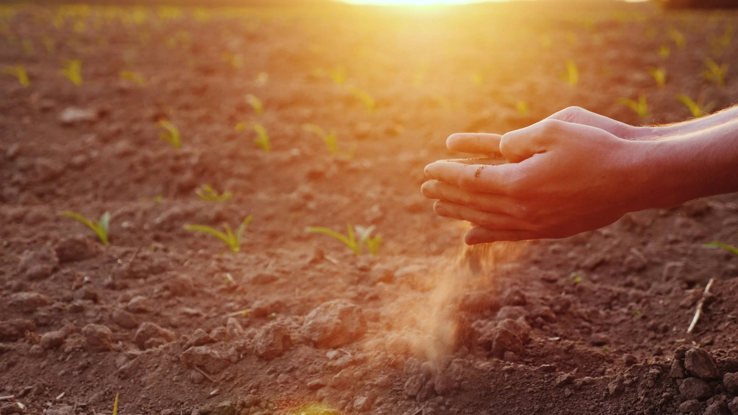 Assessing the durability of soil organic carbon under various environmental stressors. 