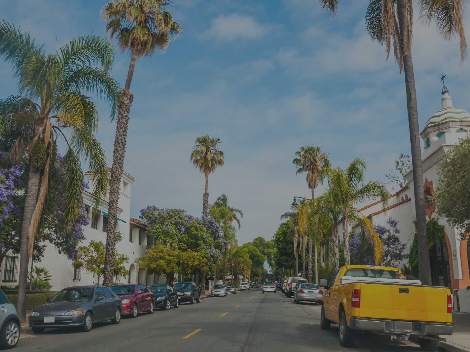 Small to Mid-Sized Businesses – palm-lined small-town main street