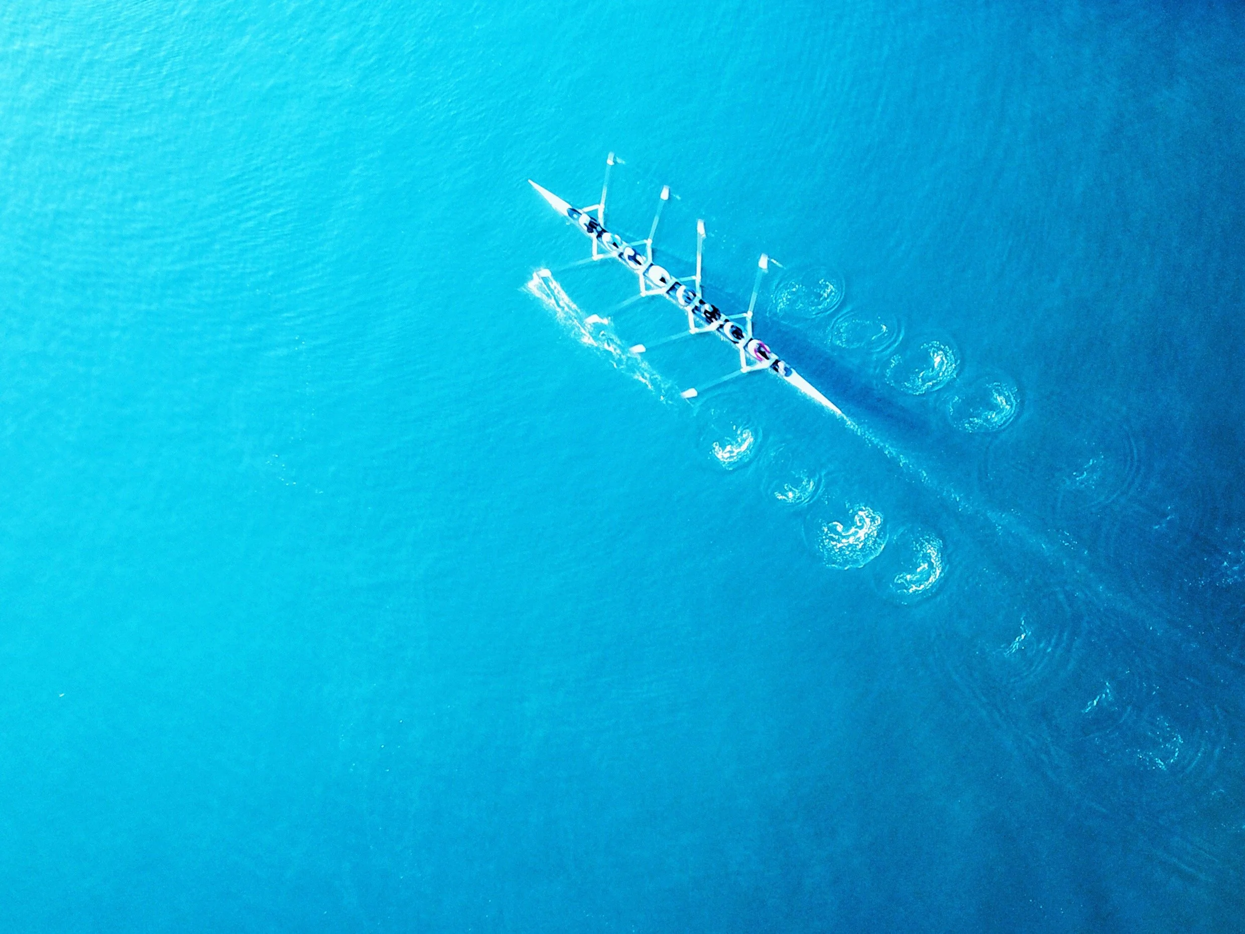 rowing-team-racing-across-bright-blue-ocean-2026-03-09-04-10-51-utc.jpg